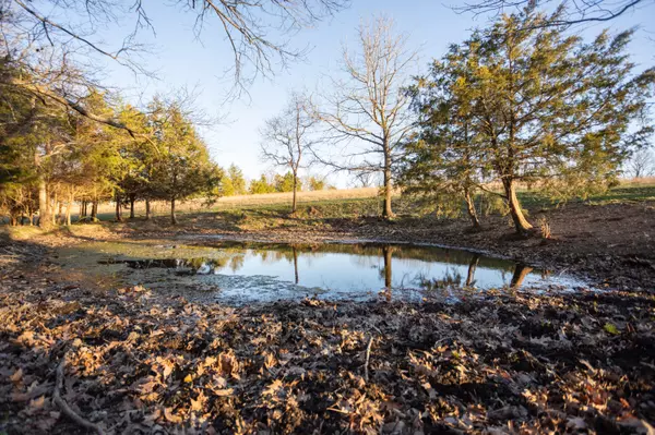 Chadwick, MO 65629,000-A Chadwick RD