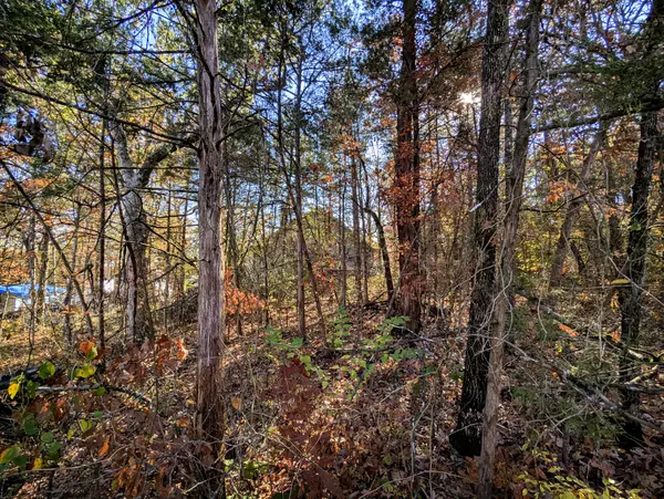 Lot 69&70 Bluebird RD, Rockaway Beach, MO 65740
