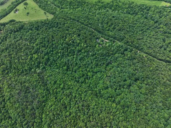 Noel, MO 64854,1619 Stone RD