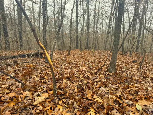 Noel, MO 64854,8ac Stone RD