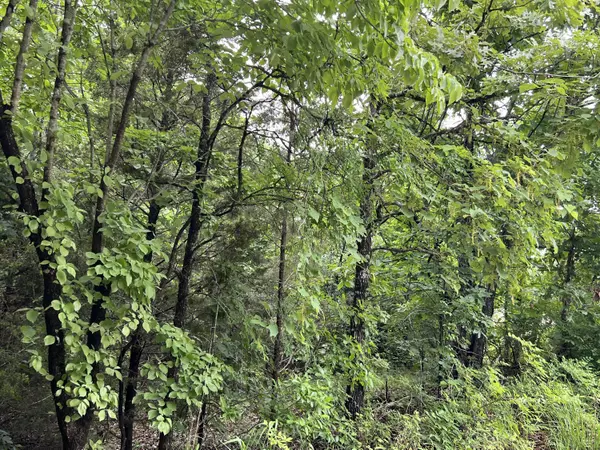 Mammoth Spring, AR 72554,000 Highway 63 South