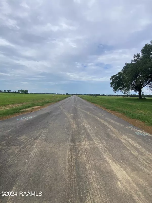 Maurice, LA 70555,3912 Chemin Belle Terre