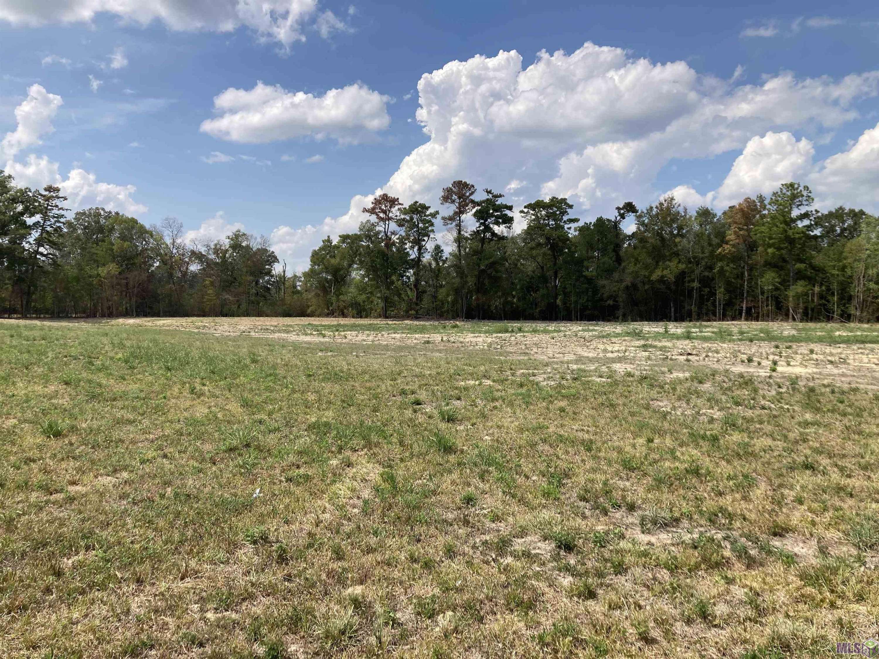 17164 La Hwy 933, Prairieville, LA 70769