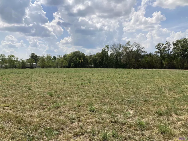 17164 La Hwy 933, Prairieville, LA 70769