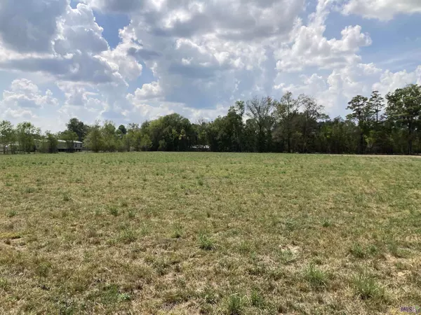 17164 La Hwy 933, Prairieville, LA 70769