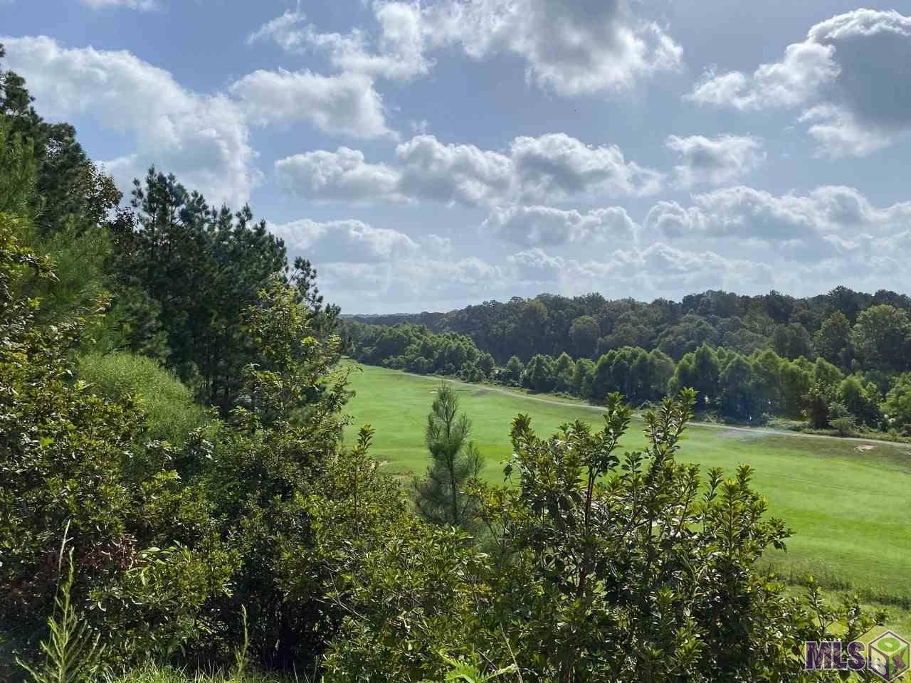 St. Francisville, LA 70775,14171 Audubon Trace