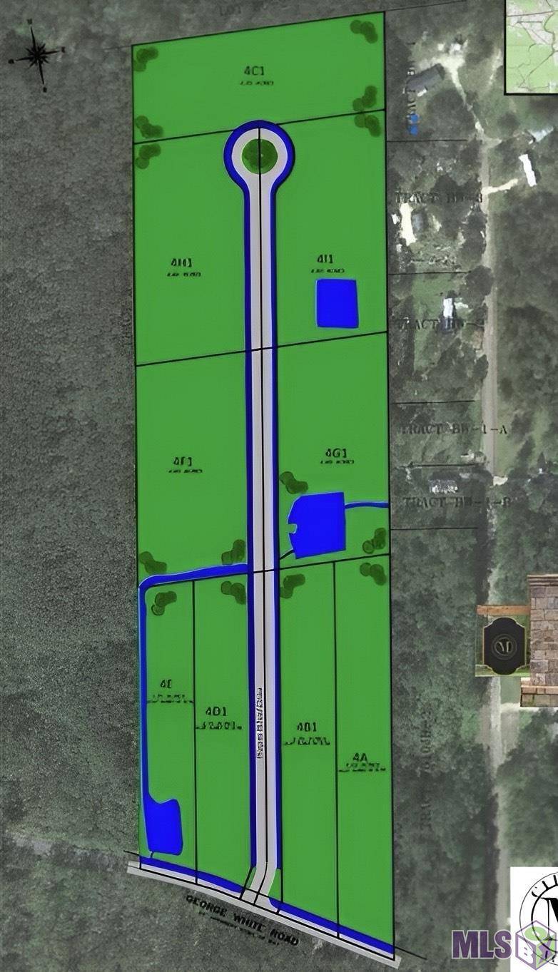 Holden, LA 70744,29605 George White Rd