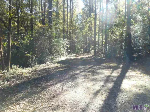 7430-C Lane Rd, Ethel, LA 70730