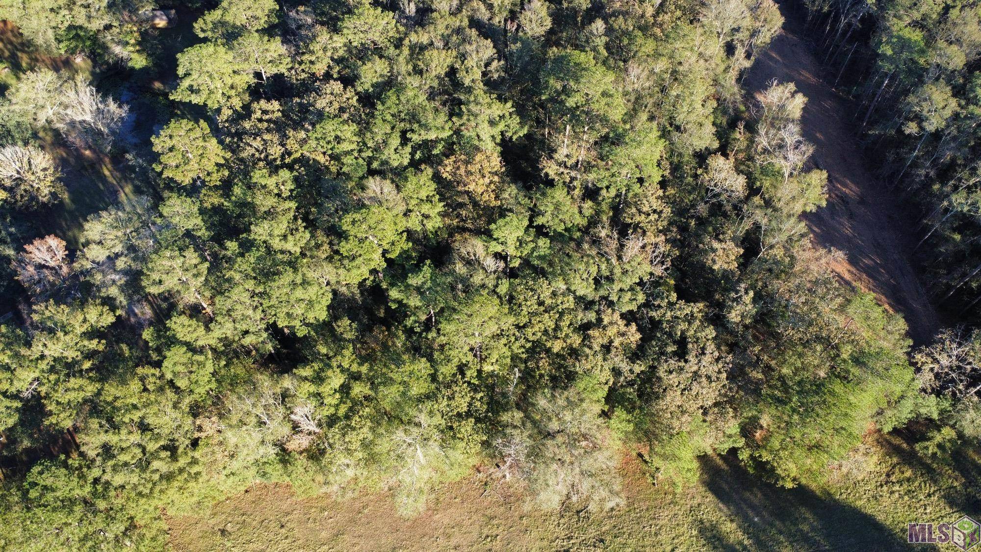 Robert, LA 70455,23483 Heritage Acres Ln
