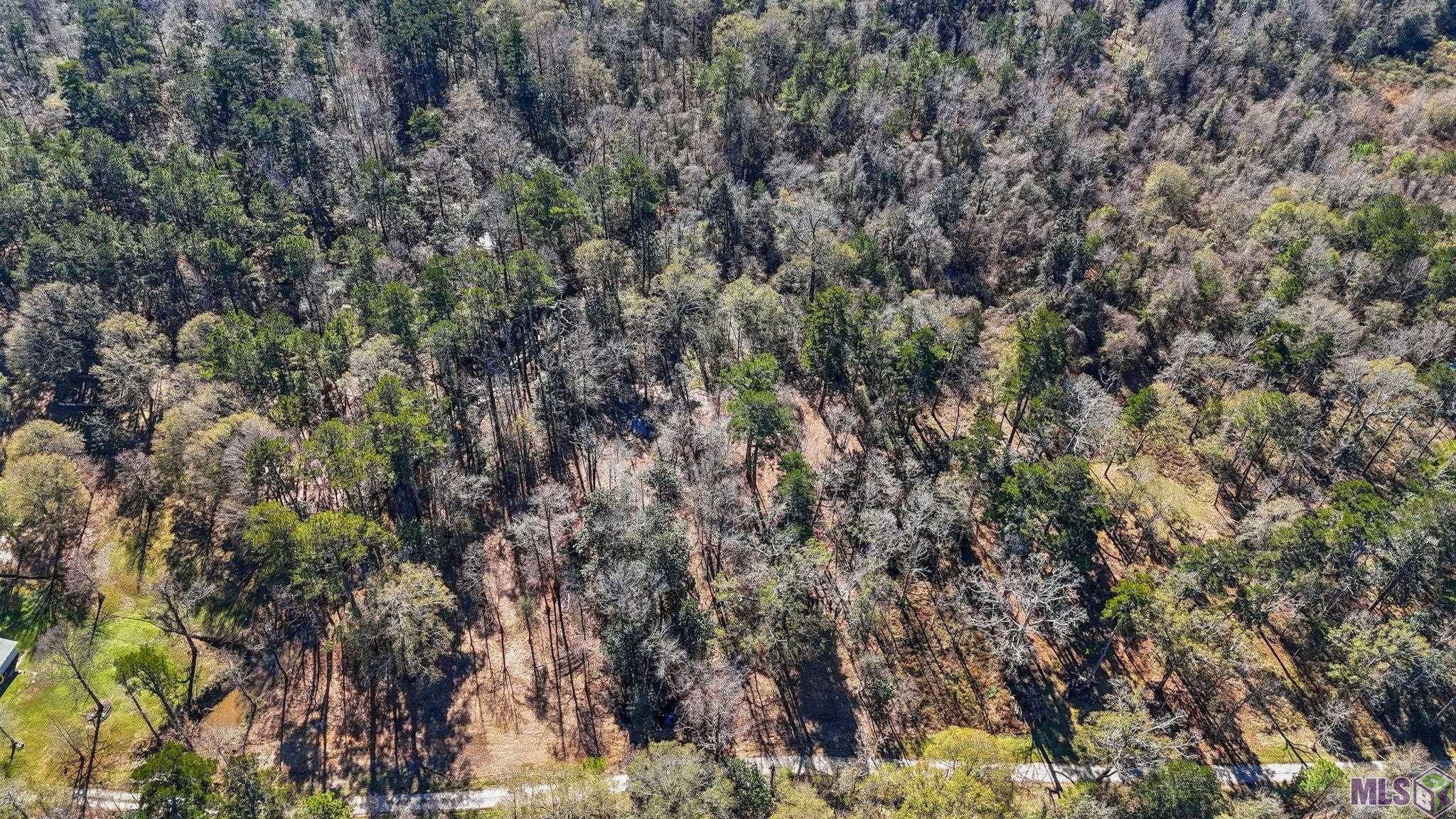 Walker, LA 70785,12234 Whitetail Ln