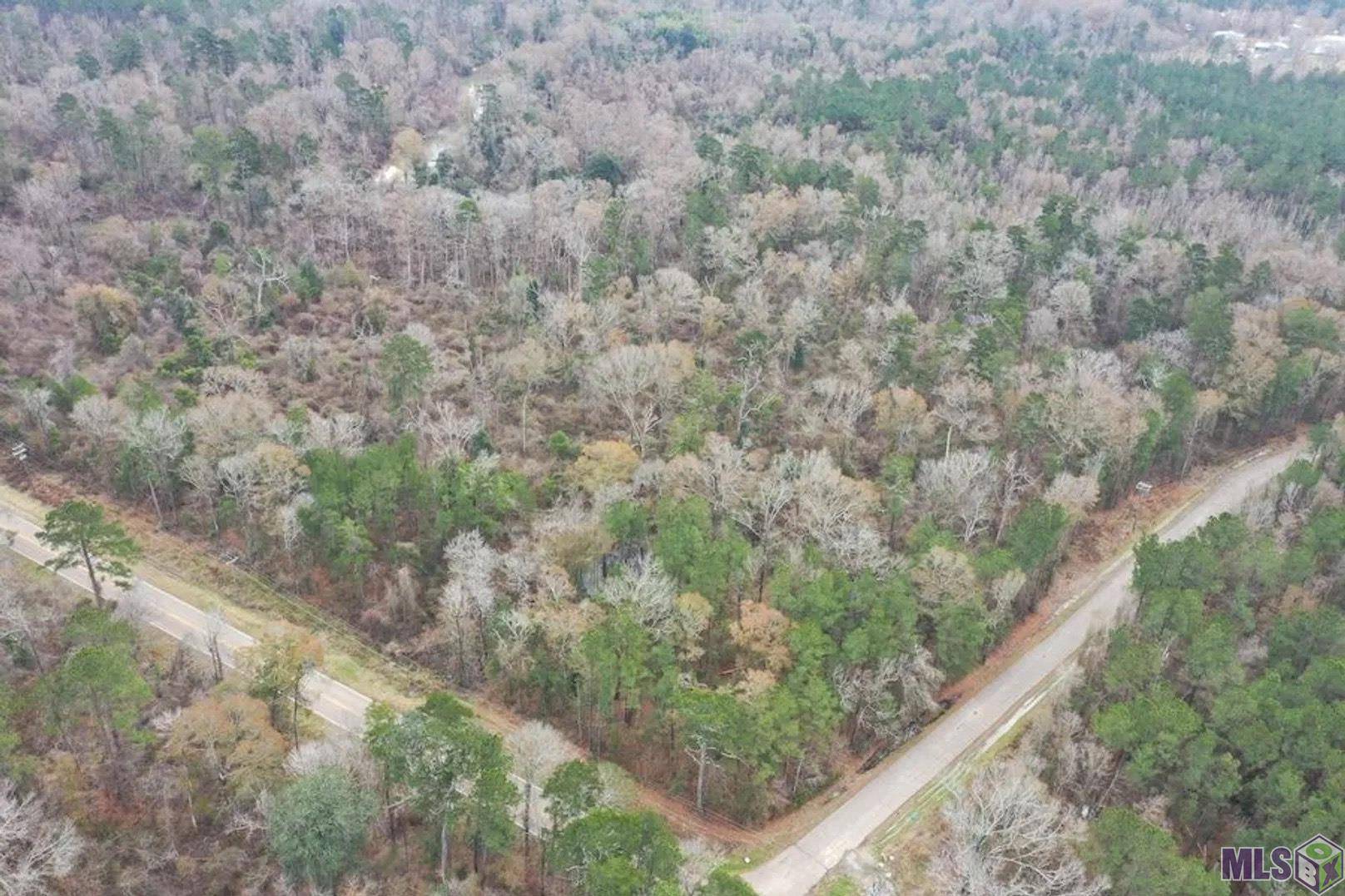 TBD -PIC 3 Charles Holden Rd, Holden, LA 70744
