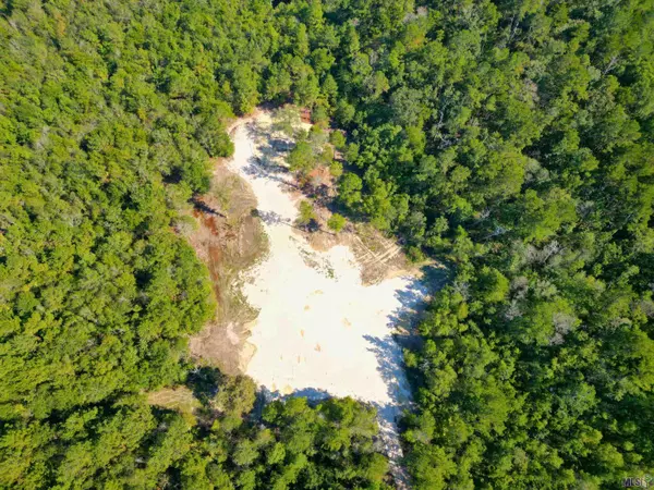 Holden, LA 70744,33606 La Hwy 441