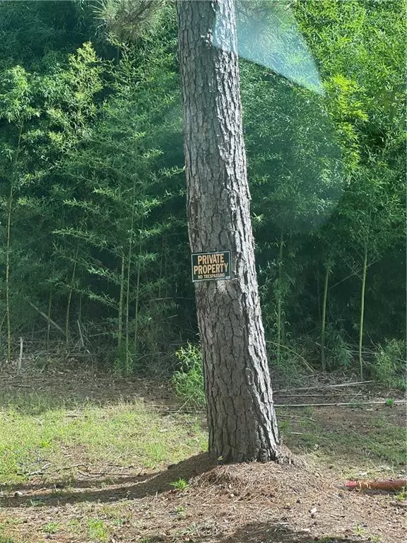 Pollock, LA 71467,158 Lynn Lake Road