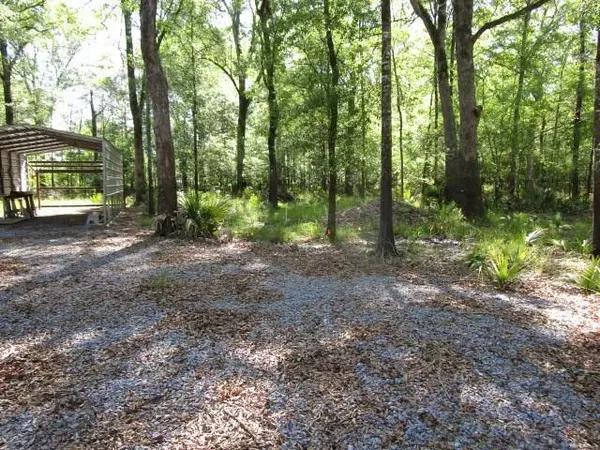 Jonesville, LA 71343,0 Cross Bayou (Lilly Road) Road