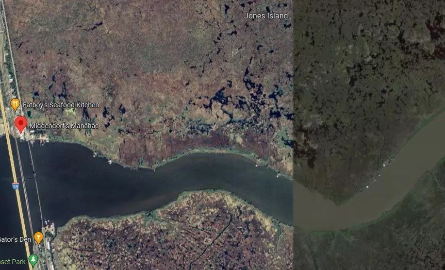 Jones Island Other, Akers, LA 70454