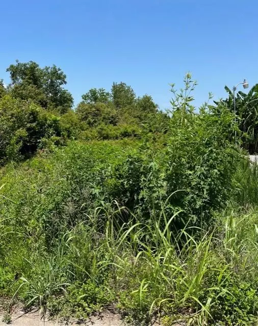 153 Buras River Road, Buras, LA 70041