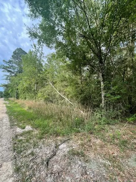73361 Birdie Street, Abita Springs, LA 70420