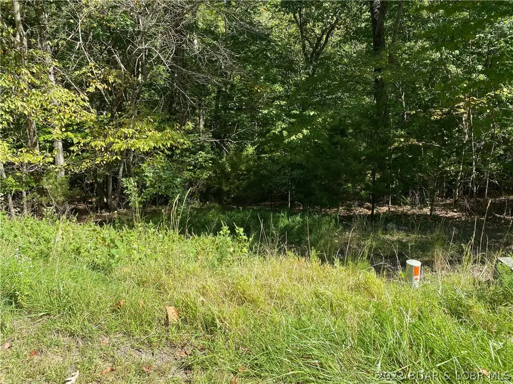 Sunrise Beach, MO 65079,861 Grand Cypress CT