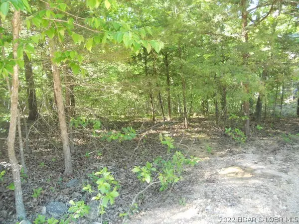 Four Seasons, MO 65049,Lot 956 Bumps Bend RD E