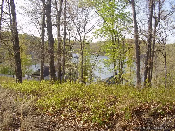 Gravois Mills, MO 65037,45 Eagle View LN