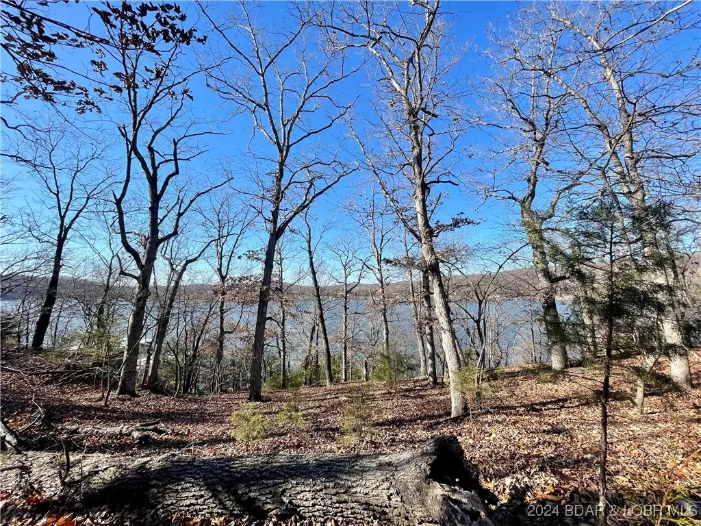 Roach, MO 65787,Big Island DR