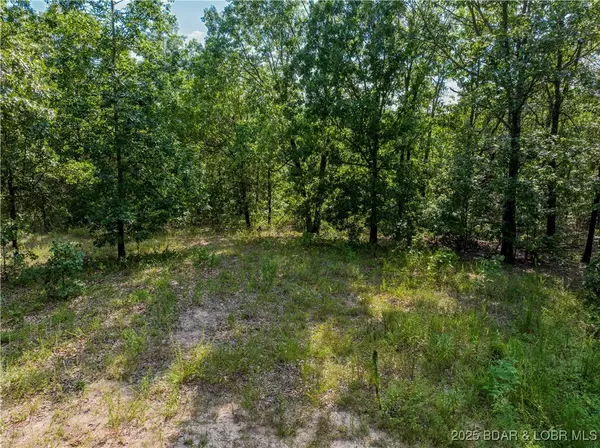 Tunas, MO 65764,TBD Cypress W CIR