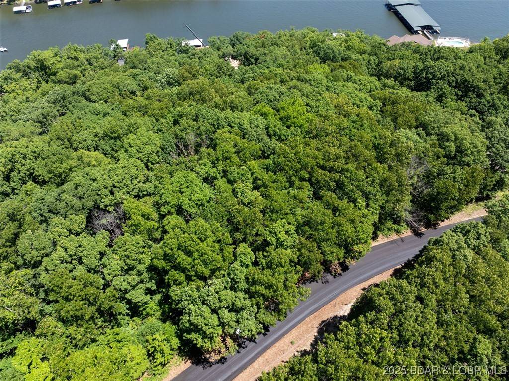 Camdenton, MO 65020,Lot 16 Flame DR