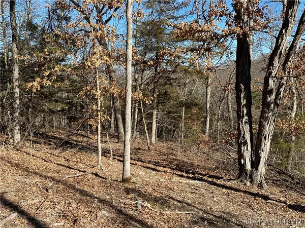 Richland, MO 65556,25390 Highway K