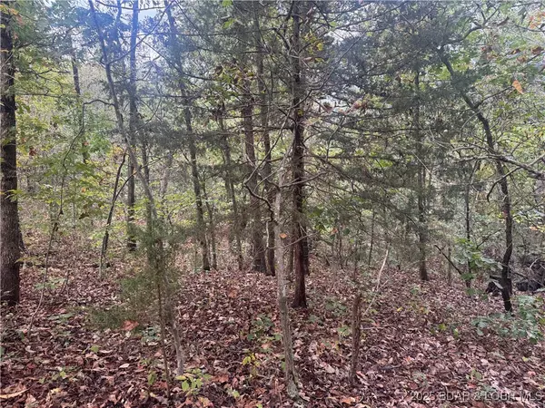 Versailles, MO 65084,4.9 acres Dorsey Lane