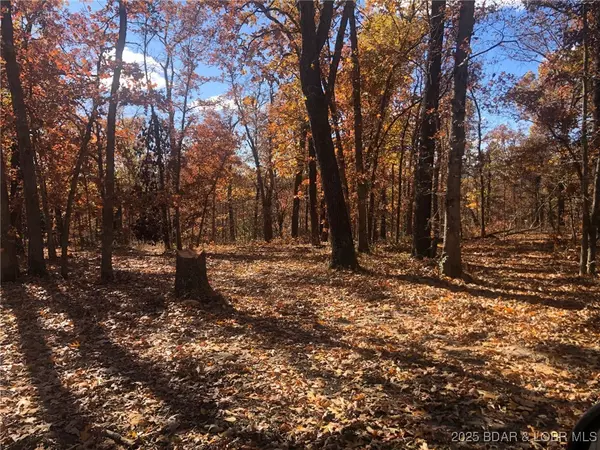 Versailles, MO 65084,Estates DR