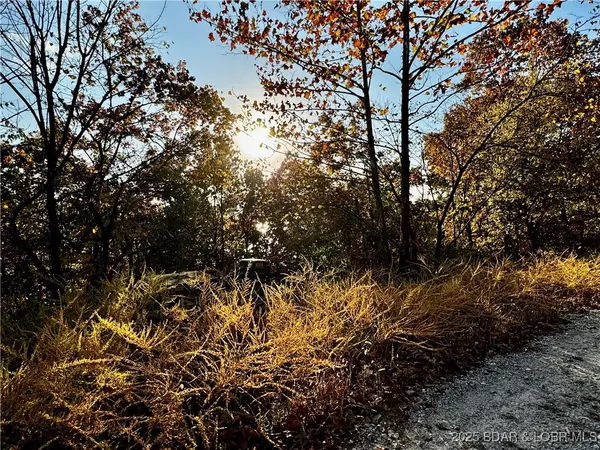 Gravois Mills, MO 65037,lot 19 Lake Horizons RD