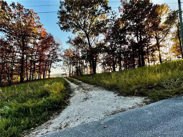 Gravois Mills, MO 65037,lot 20 Lake Horizons RD