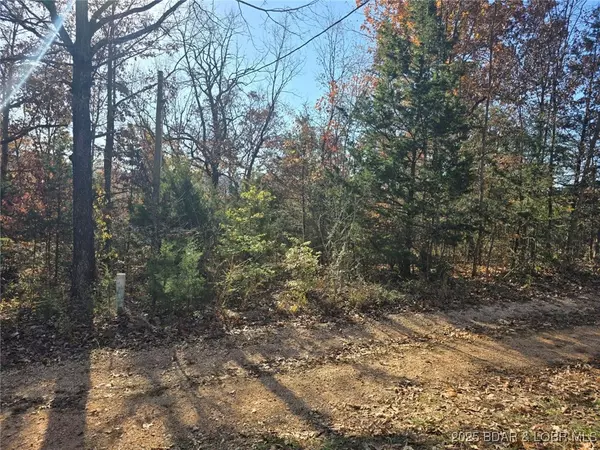 Stover, MO 65078,Lots 59-61 Wildwood RD