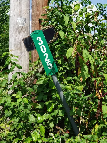 Address Not Disclosed