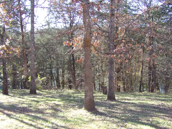 Kimberling City, MO 65686,000 Lot 5 Montego Drive