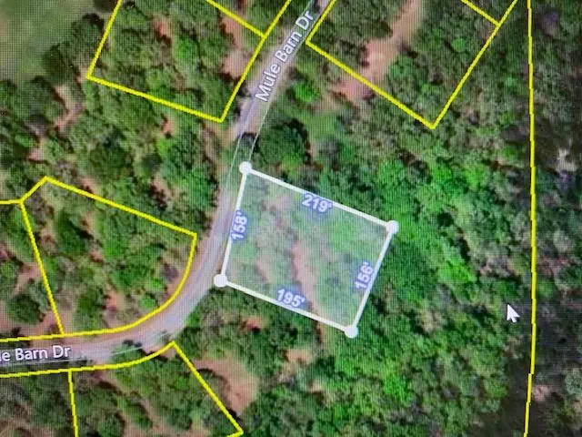 Cape Fair, MO 65624,0 Mule Barn Drive