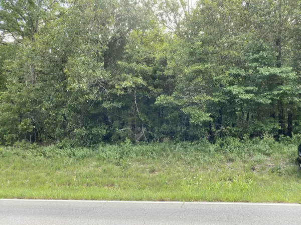 Thornfield, MO 65762,0 Hwy 95