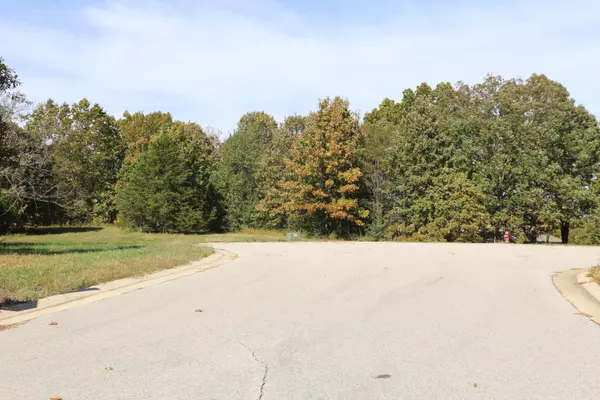 West Plains, MO 65775,000 Wild Turkey Road #Block 1 Lot 10