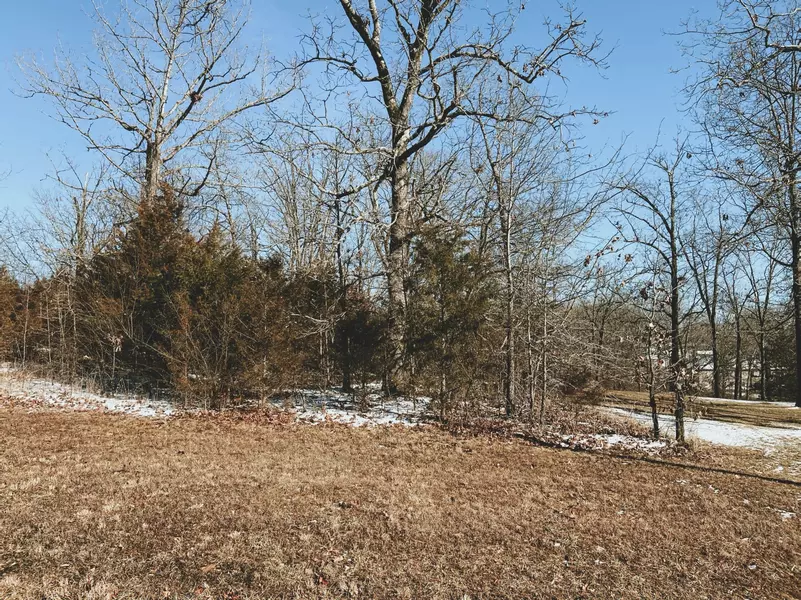 000 Rhonda Drive Lot 1, West Plains, MO 65775