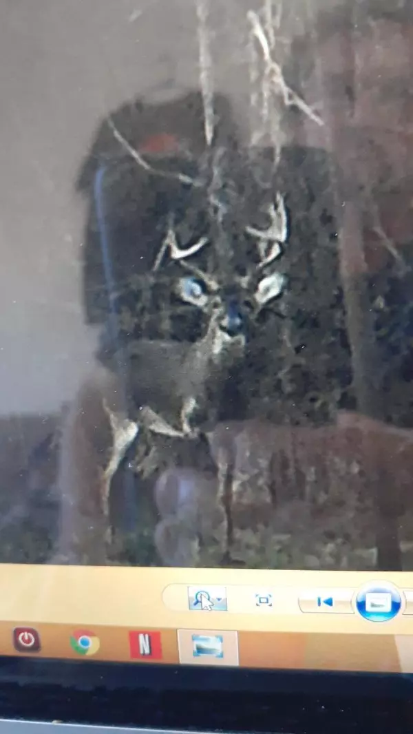 Squires, MO 65755,1 Hcr Box 86