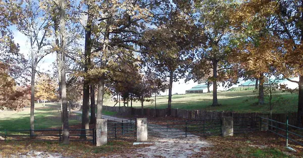 Gainesville, MO 65655,184 Pearson Ranch Road