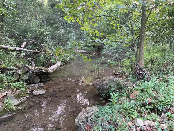 Bakersfield, MO 65609,000 County Road 573