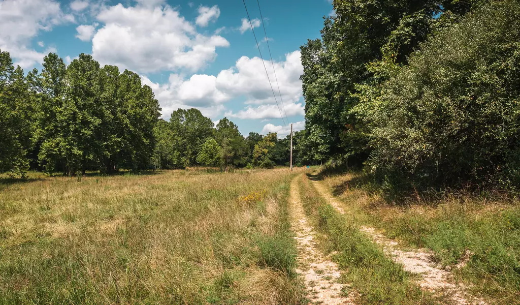 Address Not Disclosed