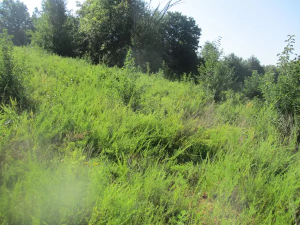 West Plains, MO 65775,0 State Hwy Bb