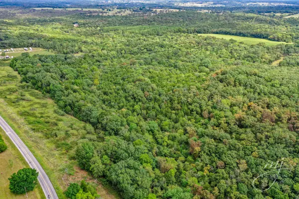 Eagle Rock, MO 65641,Lot 1 Tbd P Highway