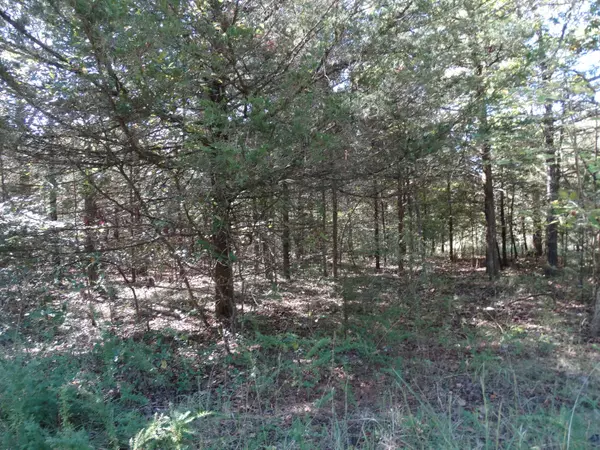 Shell Knob, MO 65747,2.19a Heron Lane