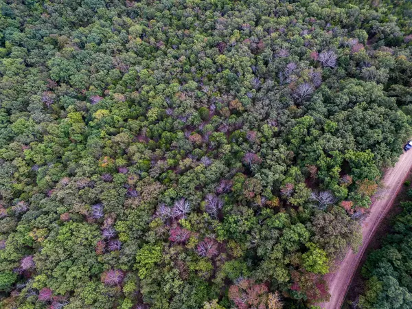 Gainesville, MO 65655,000 County Road 105