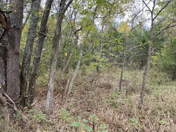 Squires, MO 65755,000 Tbd County Road 938