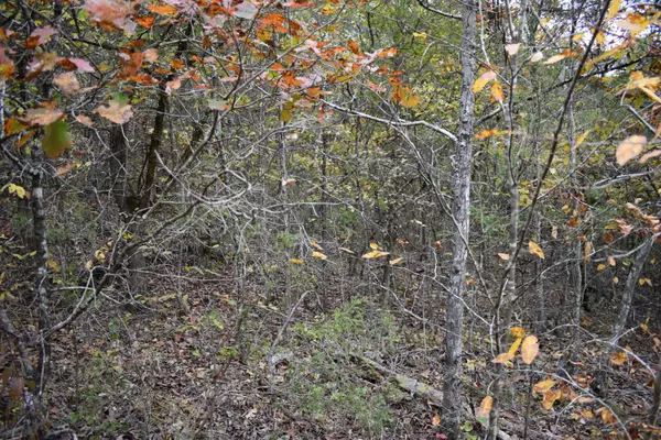 Shell Knob, MO 65747,Lot 36 Forest Lane