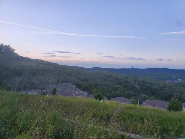 Branson, MO 65616,3002 N Vinyards Terrace #3